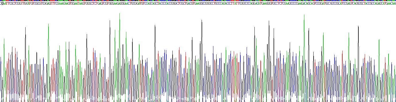 Recombinant Adrenomedullin (ADM)