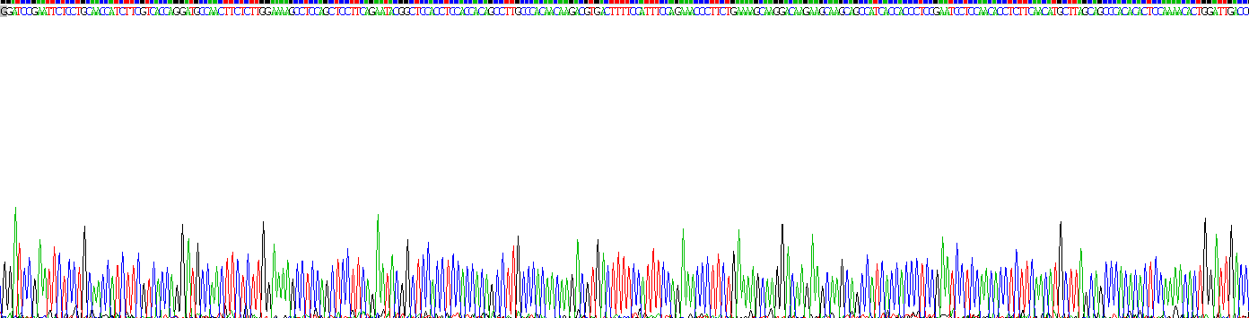 Recombinant Interferon Beta (IFNb)