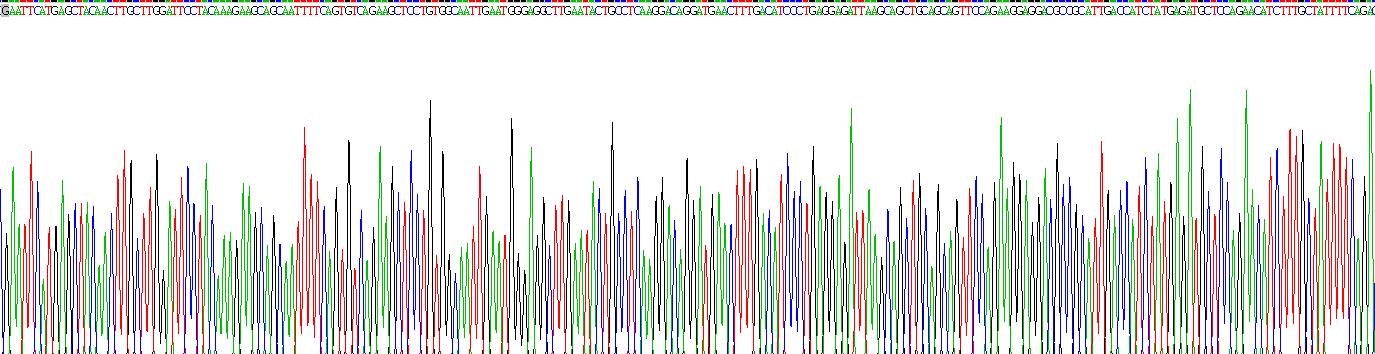 Recombinant Interferon Beta (IFNb)