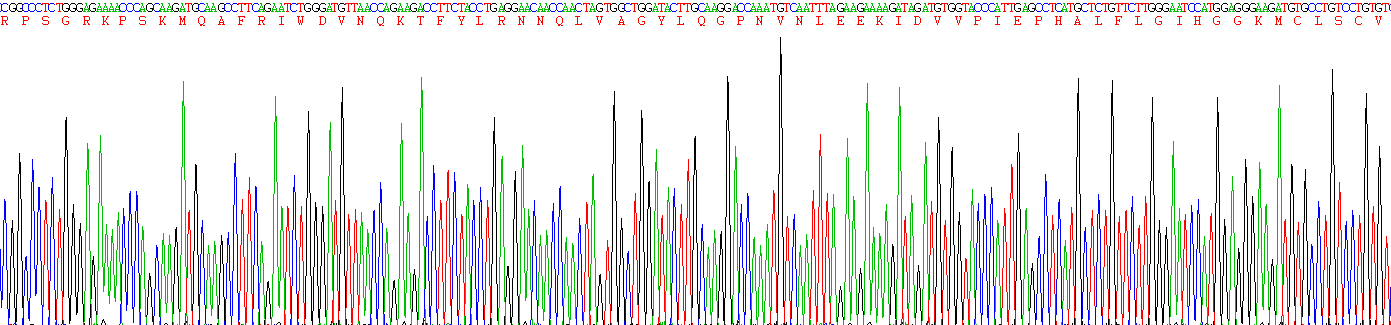 Recombinant Interleukin 1 Receptor Antagonist (IL1RA)