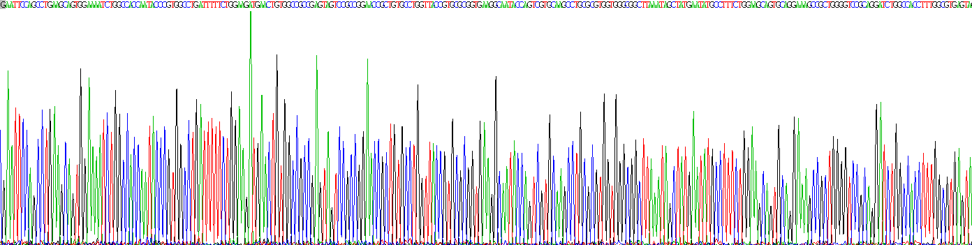 Recombinant Anti-Mullerian Hormone (AMH)