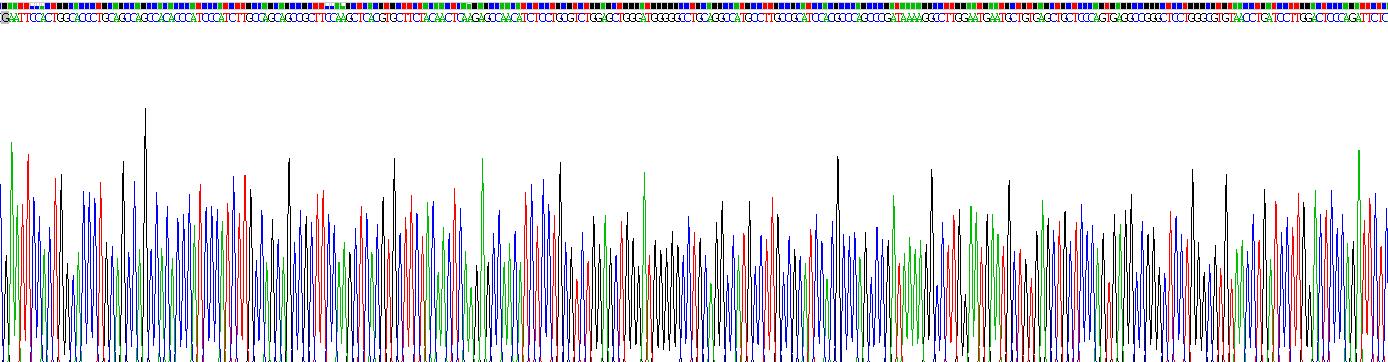 Recombinant Interleukin 2 Receptor Beta (IL2Rb)