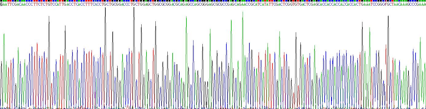 Recombinant Urocortin (UCN)