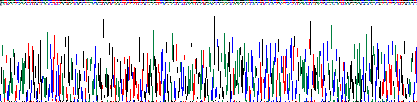 Recombinant Urocortin (UCN)