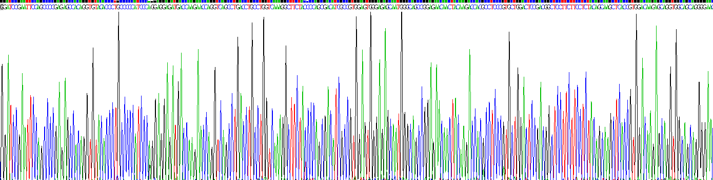 Recombinant Immunoglobulin G4 (IgG4)