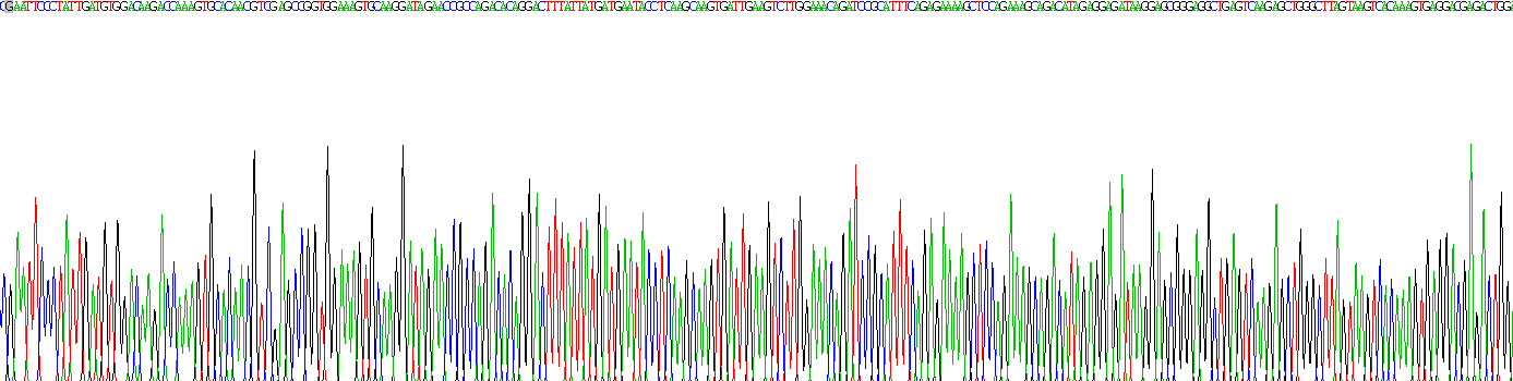 Recombinant Nesfatin 1 (NES1)