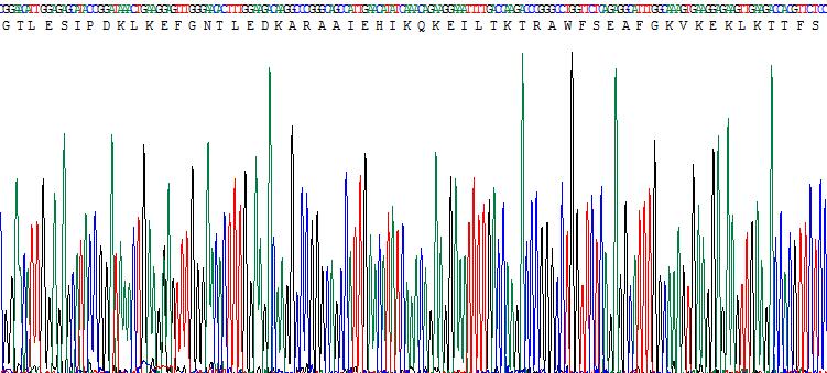 Recombinant Apolipoprotein C1 (APOC1)