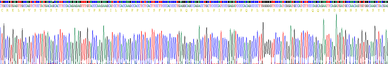 Recombinant Linker For Activation Of T-Cell (LAT)