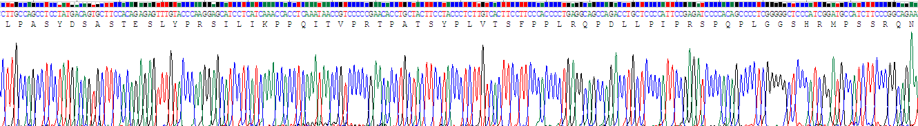 Recombinant Linker For Activation Of T-Cell (LAT)