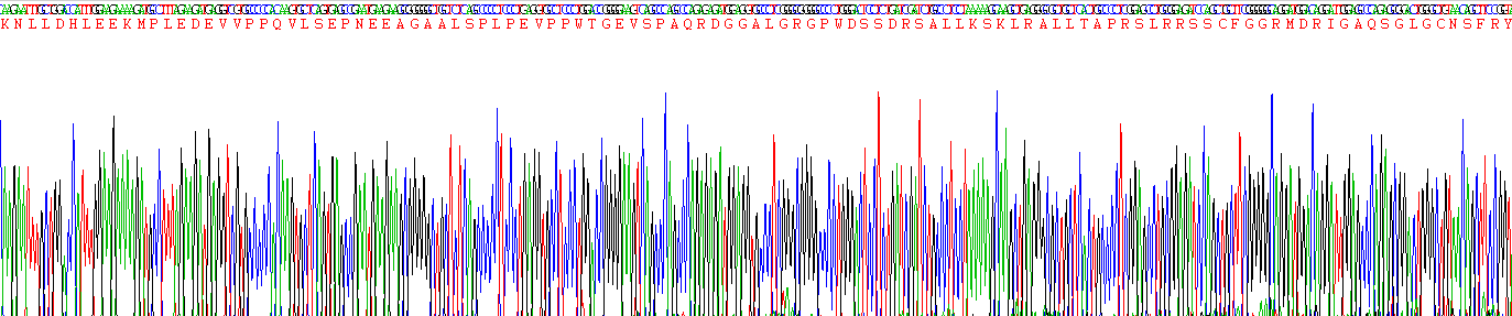 Recombinant Natriuretic Peptide Precursor A (NPPA)