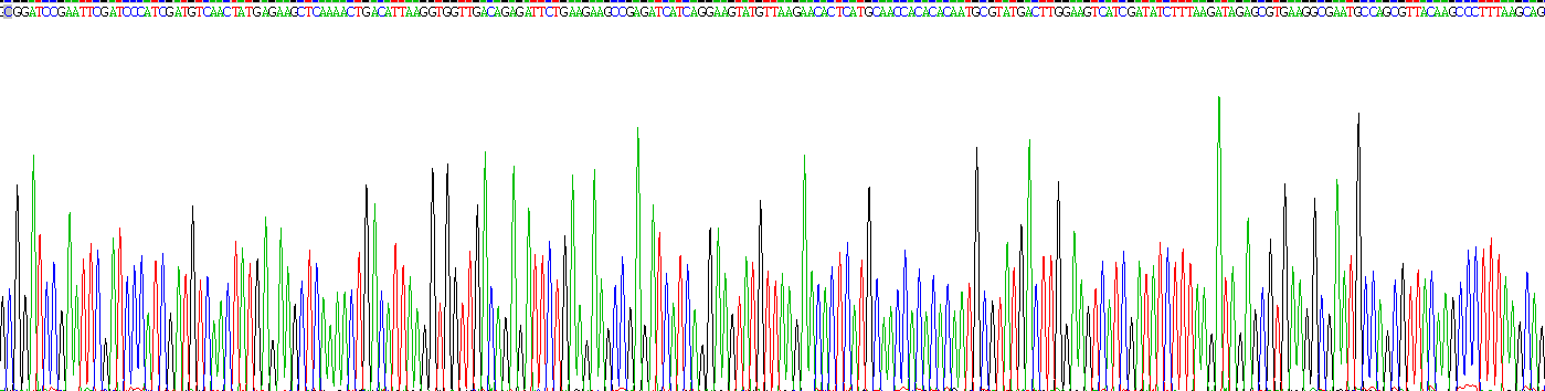 Recombinant Poly ADP Ribose Polymerase (PARP)