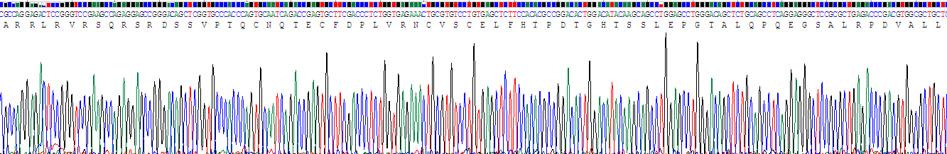 Recombinant B-Cell Activation Factor Receptor (BAFFR)