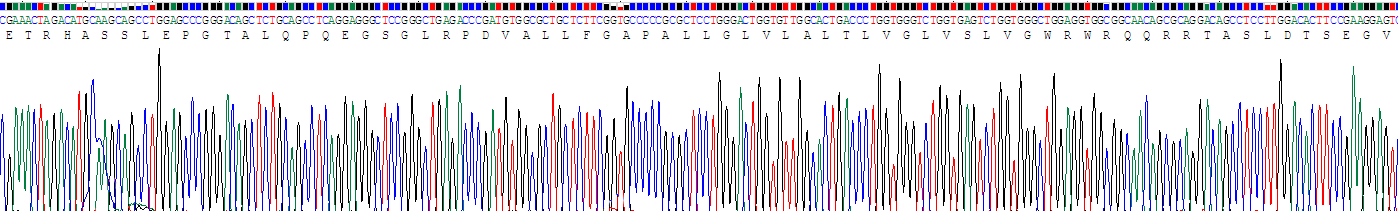 Recombinant B-Cell Activation Factor Receptor (BAFFR)