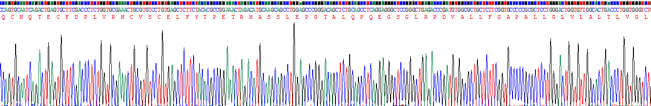 Recombinant B-Cell Activation Factor Receptor (BAFFR)