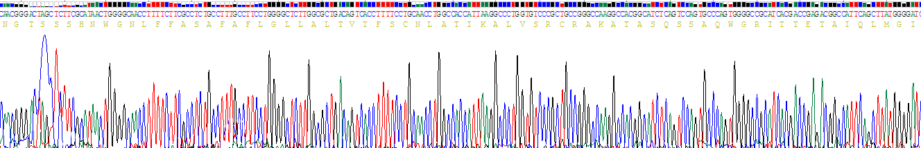 Recombinant Prostaglandin E Receptor 3 (EP3)