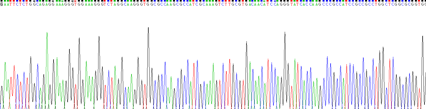 Recombinant Histone H4 (H4)