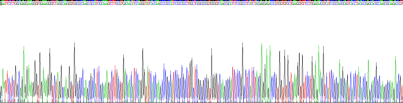 Recombinant Histone H4 (H4)