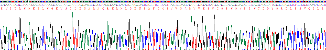 Recombinant Alpha-Fodrin (SPTAN1)