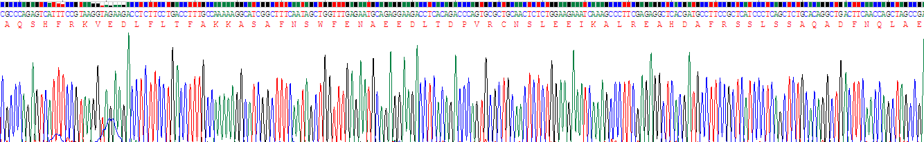 Recombinant Alpha-Fodrin (SPTAN1)