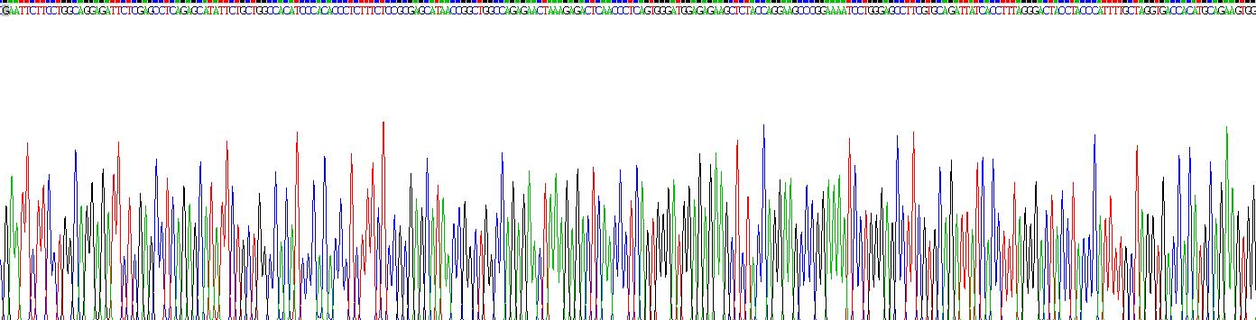 Recombinant Lactoperoxidase (LPO)