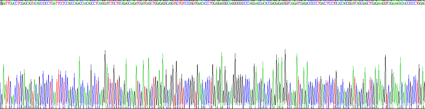 Recombinant Neuronal Pentraxin I (NPTX1)