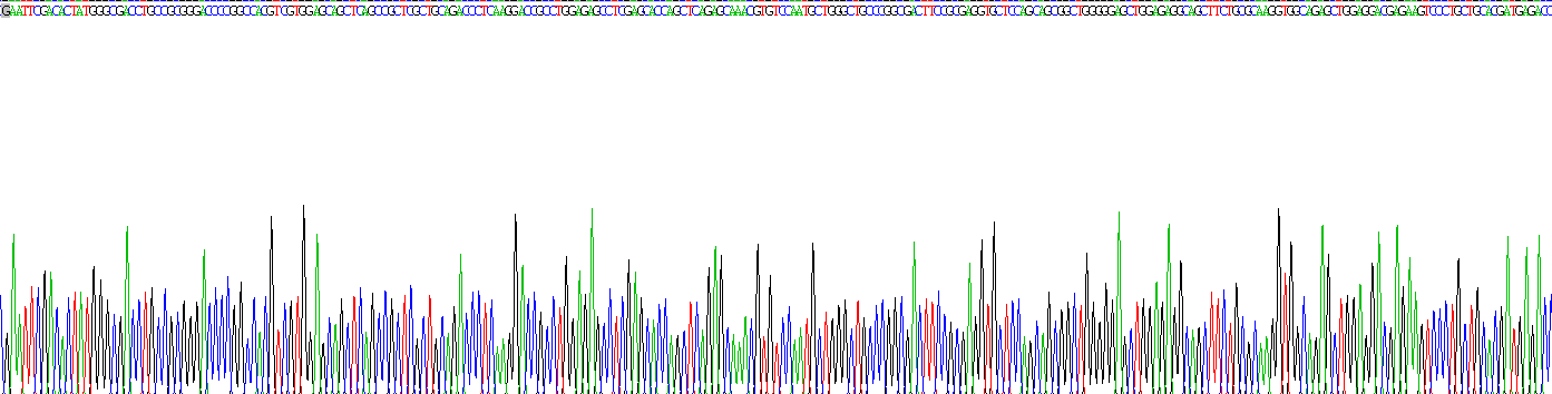 Recombinant Neuronal Pentraxin II (NPTX2)