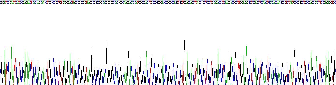 Recombinant Neuronal Pentraxin II (NPTX2)