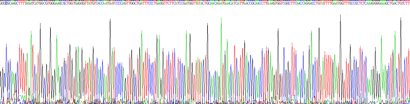 Recombinant Galectin 3 (GAL3)