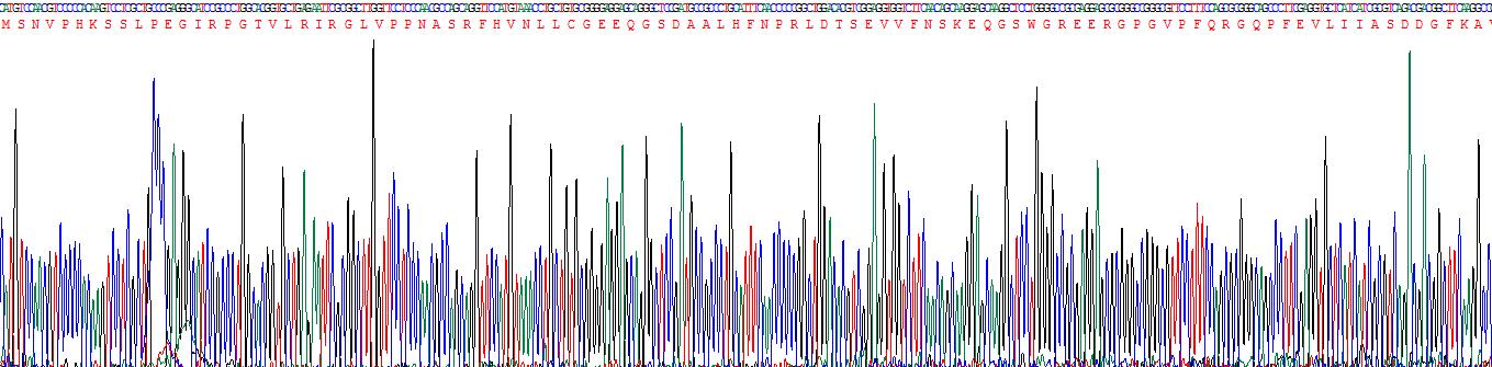 Recombinant Galectin 7 (GAL7)