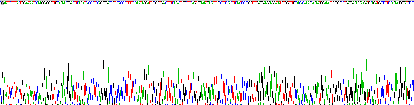 Recombinant Galectin 9 (GAL9)