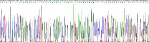 Recombinant Chromodomain Helicase DNA Binding Protein 3 (CHD3)