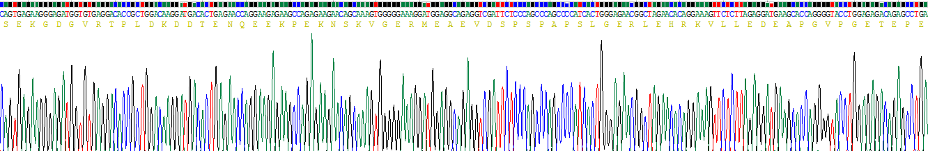 Recombinant Chromodomain Helicase DNA Binding Protein 3 (CHD3)