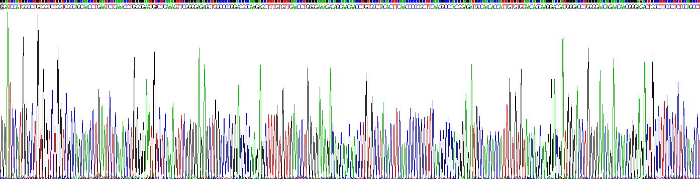 Recombinant Galectin 1 (GAL1)