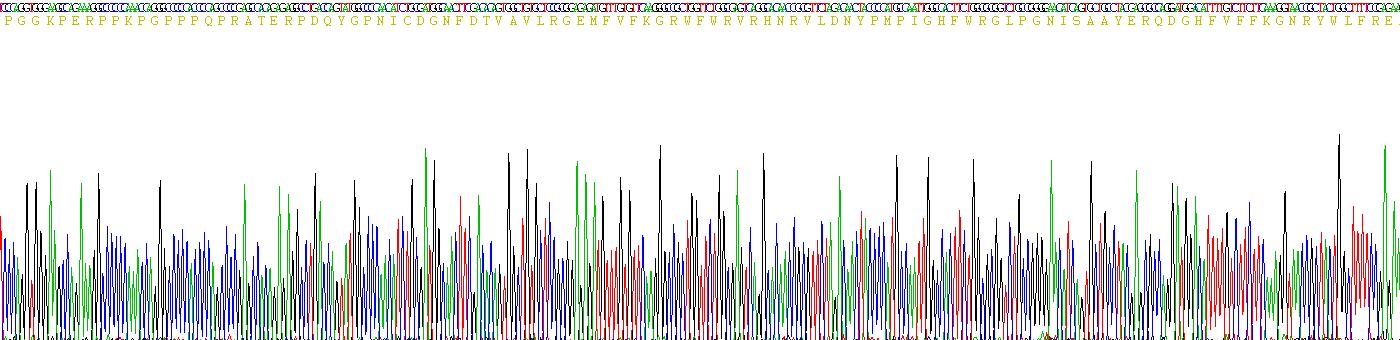 Recombinant Matrix Metalloproteinase 15 (MMP15)