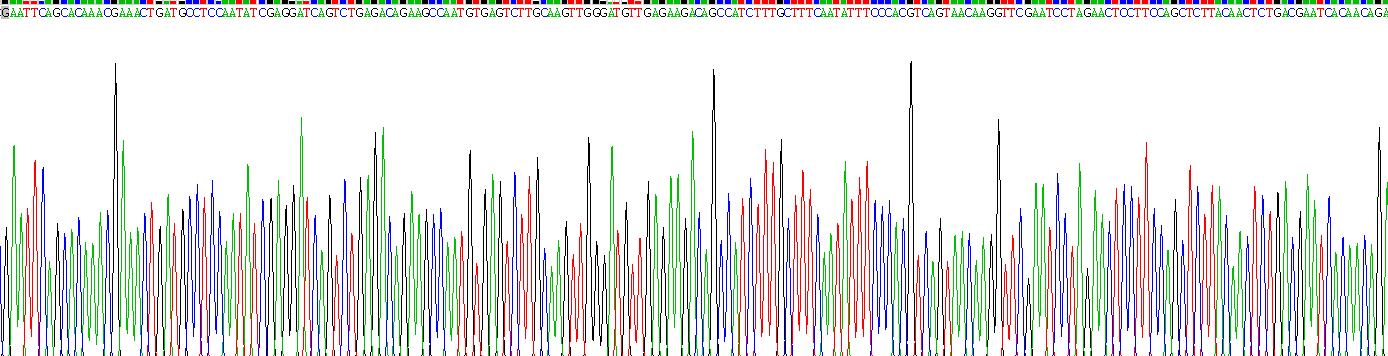 Recombinant Asprosin (Asp)