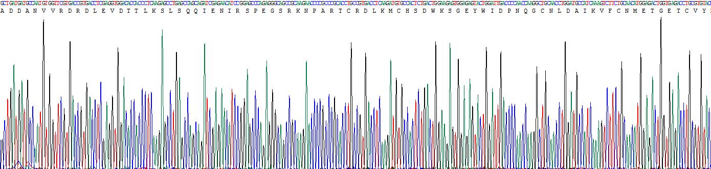 Recombinant Collagen Type I Alpha 1 (COL1a1)