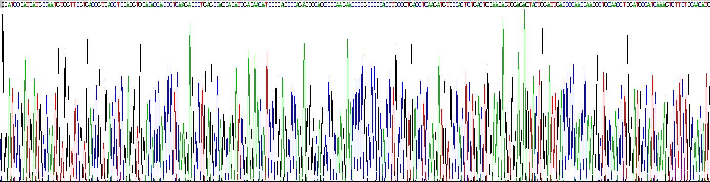 Recombinant Collagen Type I Alpha 1 (COL1a1)