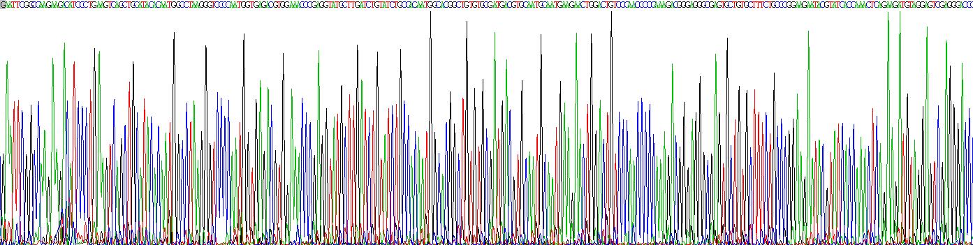 Recombinant Collagen Type I Alpha 1 (COL1a1)