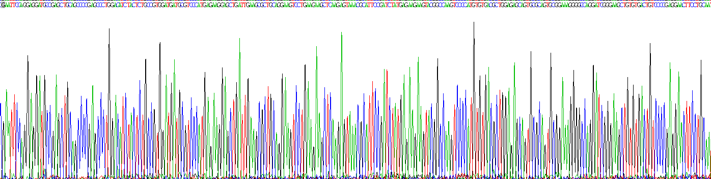 Recombinant Cocaine And Amphetamine Regulated Transcript (CART)