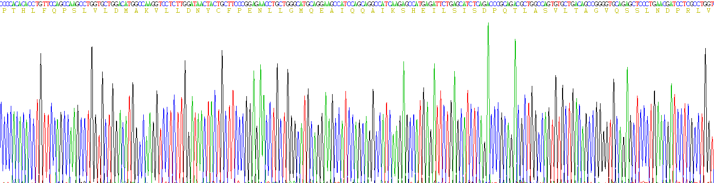 Recombinant Retinol Binding Protein 3, Interstitial (RBP3)