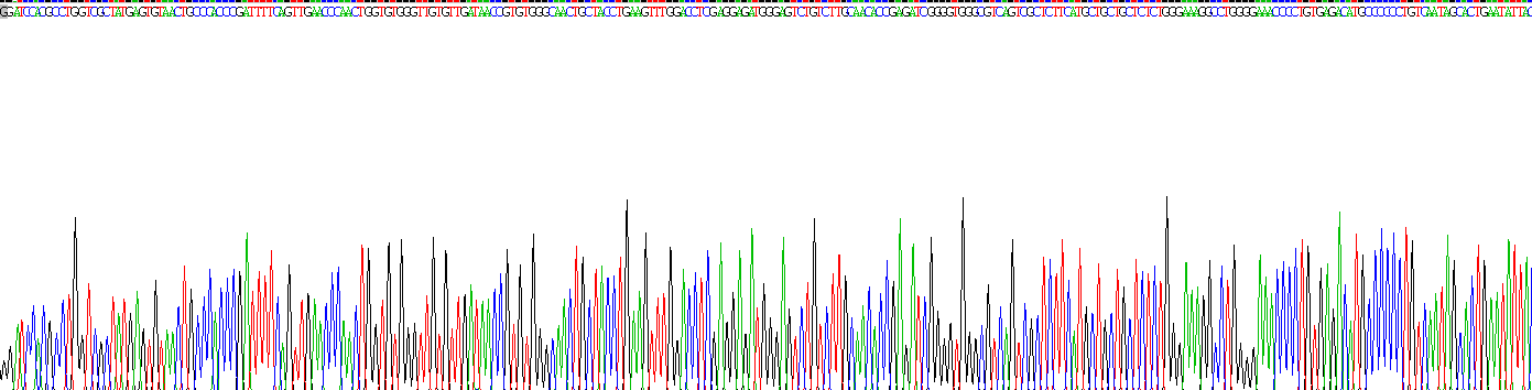 Recombinant Fibrillin 2 (FBN2)