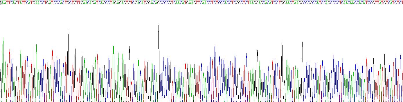 Recombinant Fibrillin 2 (FBN2)