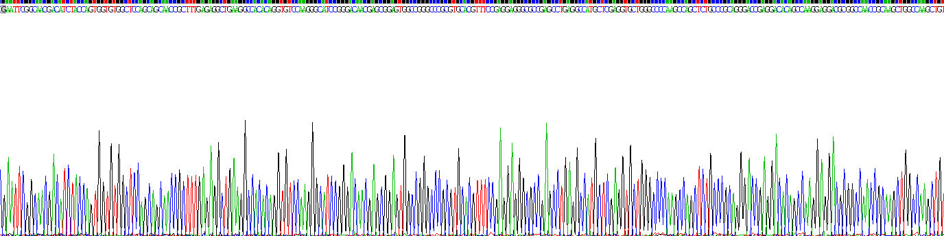 Recombinant Gelsolin (GSN)