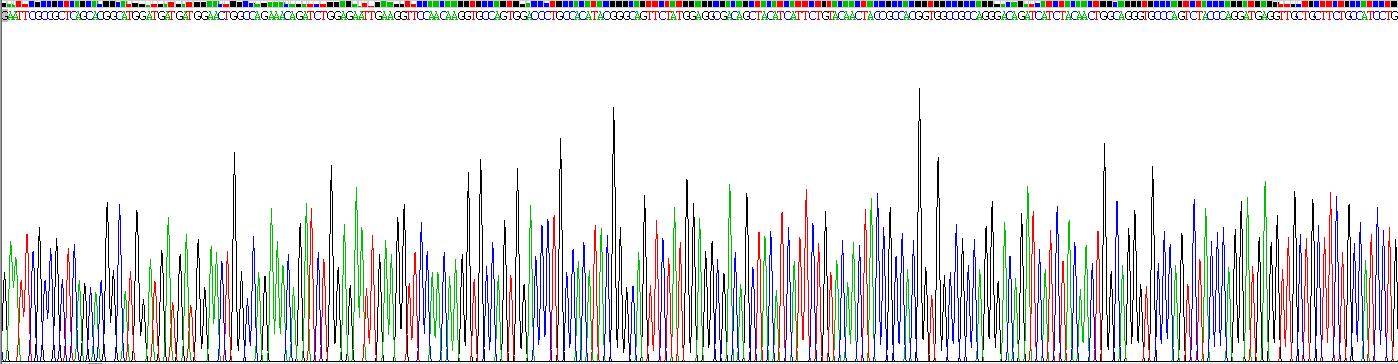 Recombinant Gelsolin (GSN)