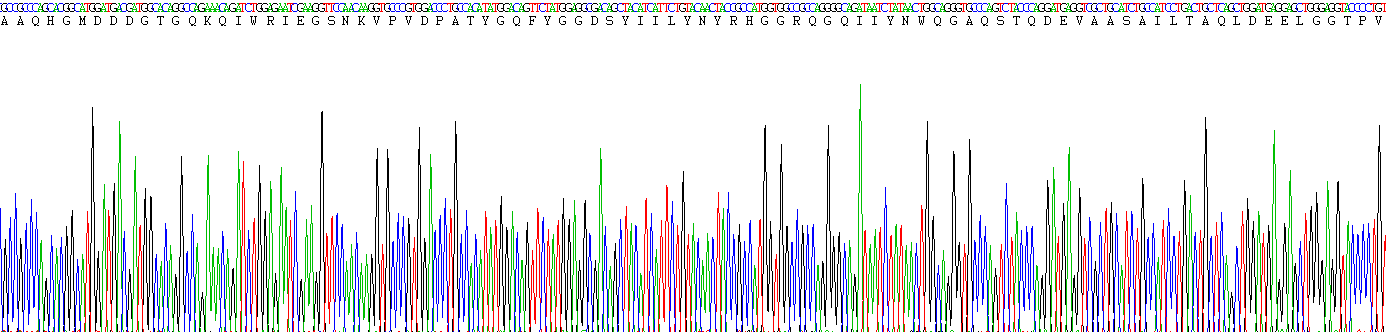 Recombinant Gelsolin (GSN)