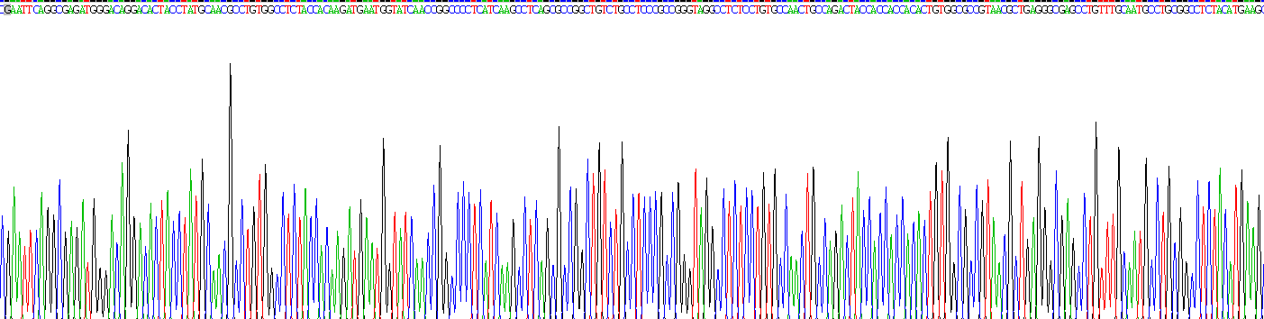 Recombinant GATA Binding Protein 4 (GATA4)