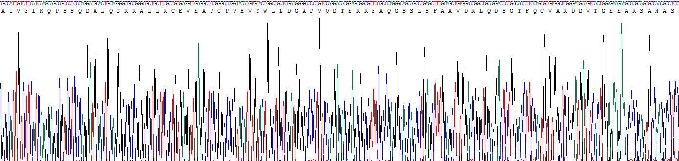 Recombinant Cholecystokinin 4, Tetrapeptide (CCK4)