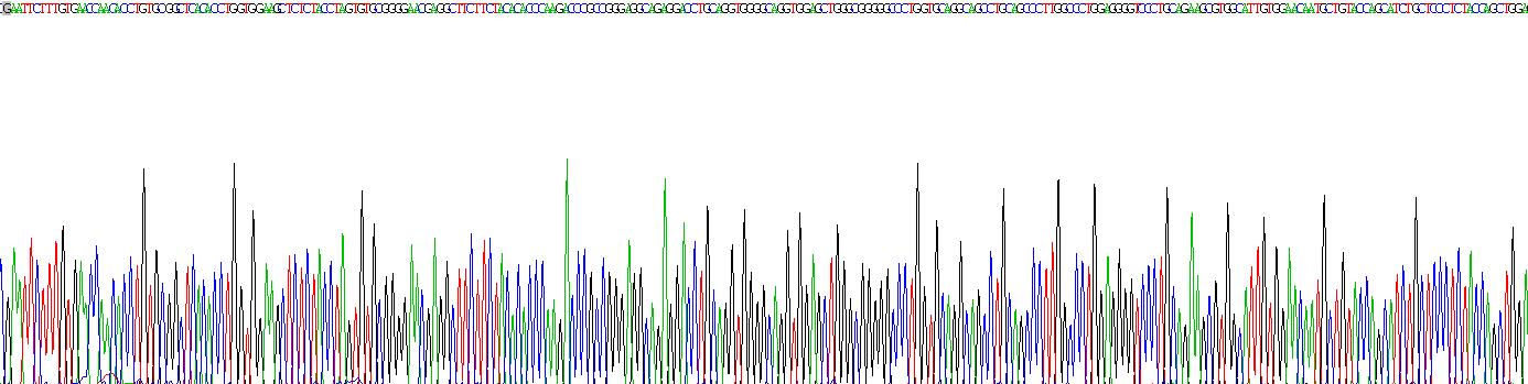 Recombinant Proinsulin (PI)