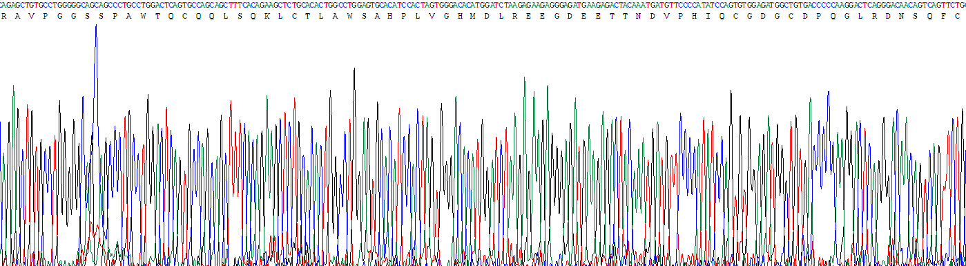 Recombinant Interleukin 23  Subunit Alpha (IL23a)