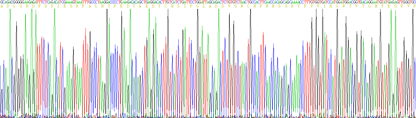 Recombinant Lipoprotein lipase (LPL)